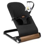 comfortable and stylish bouncer