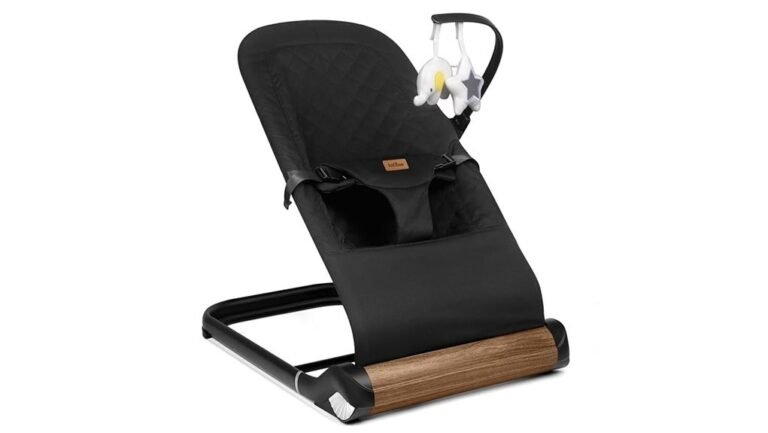 comfortable and stylish bouncer