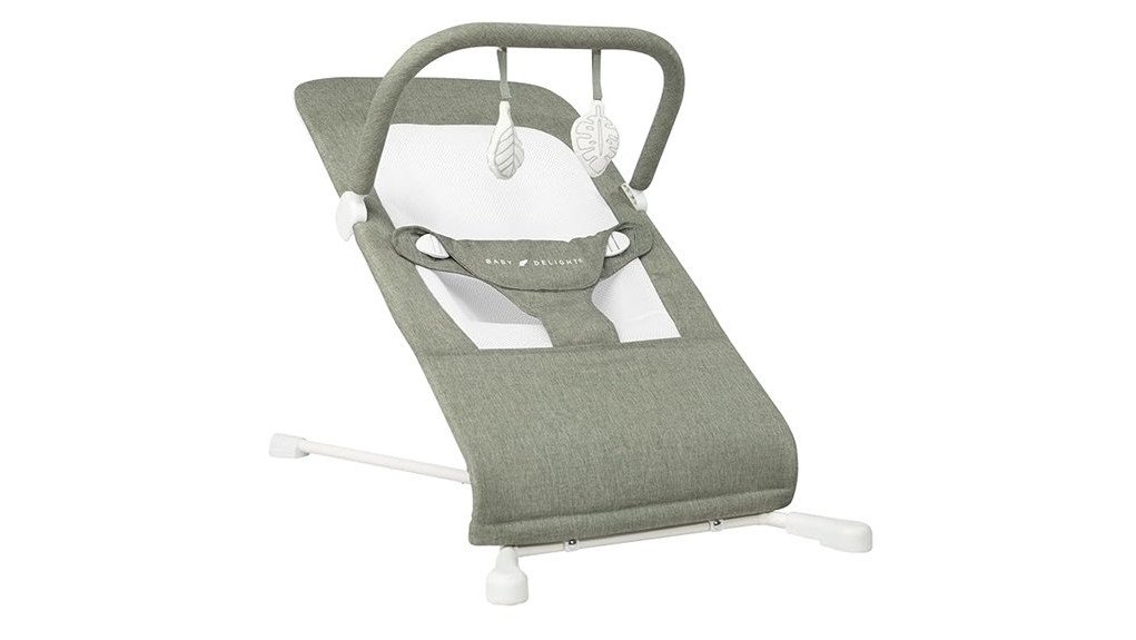 comfortable baby bouncer review