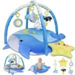 dr rapeti play mat review