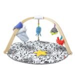engaging ocean themed activity gym