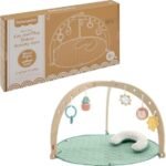 fisher price baby playmat review