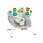 joyful baby bouncer experience