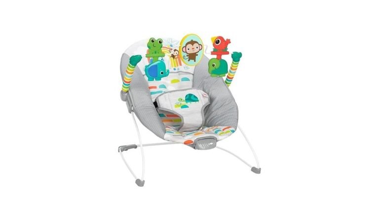 joyful baby bouncer experience