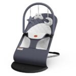 portable baby bouncer review