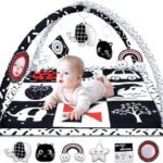 poycuna baby gym review