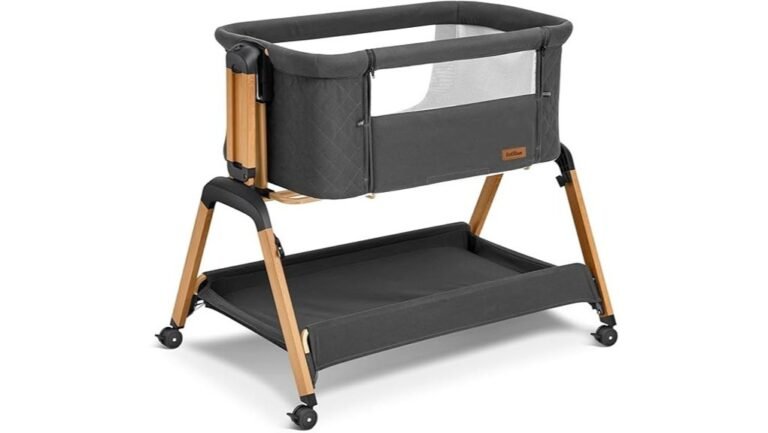 totrun bassinet review summary