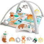 versatile infant activity center