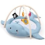whale baby play gym